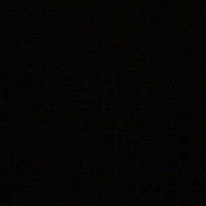 Meet your Posher, Libby